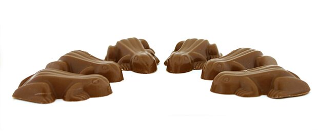 chocolade kikkers