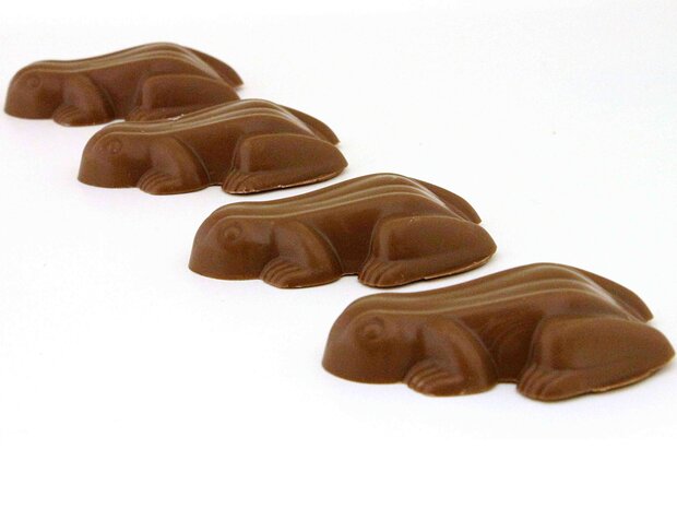 chocolade kikkers