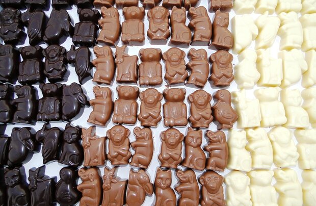 chocolade dierentuin