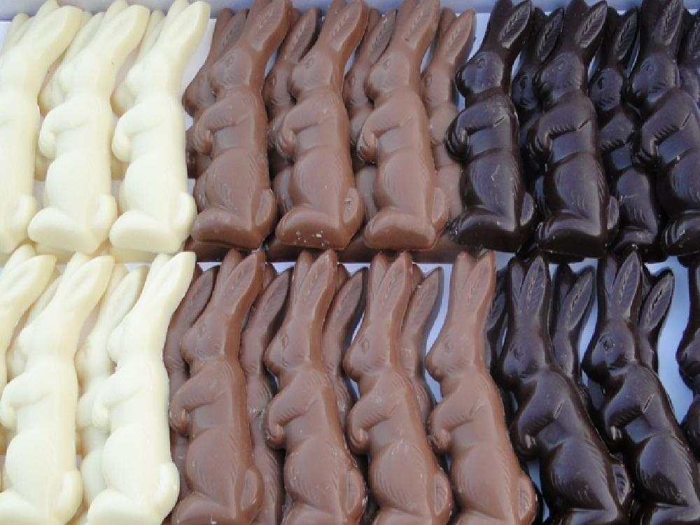 chocolade paashaasjes groot